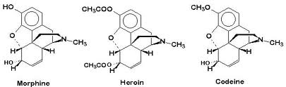 morfin codein heroin